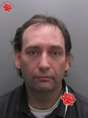 Michael Wilkinson – profile image
