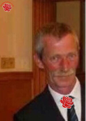 David Curry – profile image