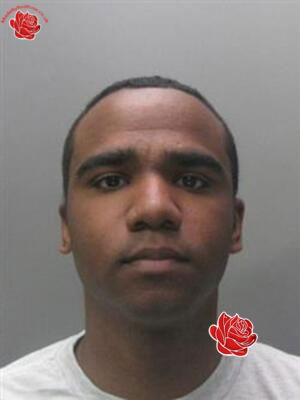Curtis Robinson – profile image