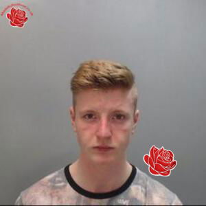 Lewis Thorpe – profile image