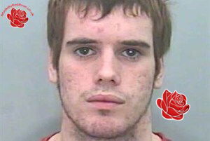 Stephen Lobb – profile image