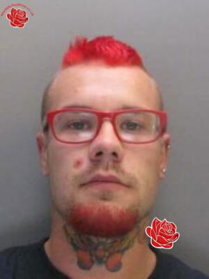 Gary Clifford – profile image