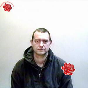 Craig Baldwin – profile image
