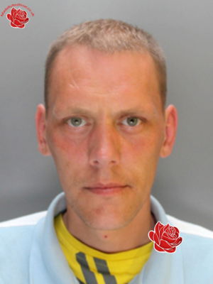 Gavin Benit – profile image