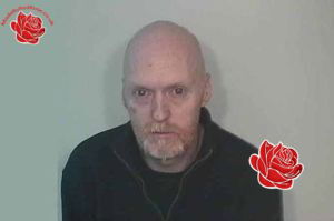 David Phelan – profile image
