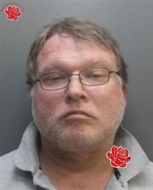 Stephen Brewster – profile image