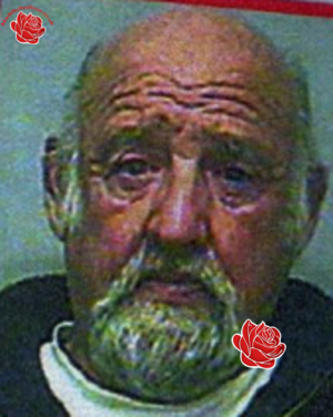 William Jenkin – profile image