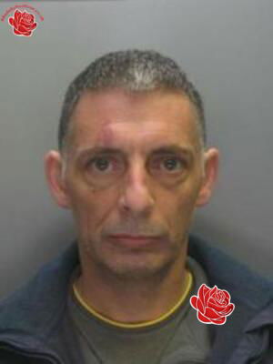 Philip Harrison – profile image