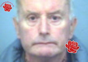 Mervyn Dyer – profile image