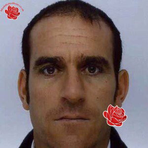 Andrew Parker – profile image