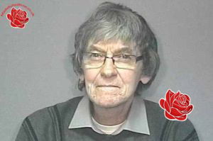 Colin Haddlesey – profile image