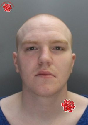 Stuart Simmonds – profile image
