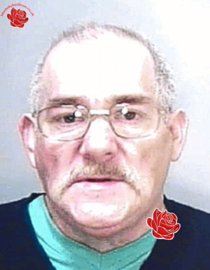 Steven Fifield – profile image
