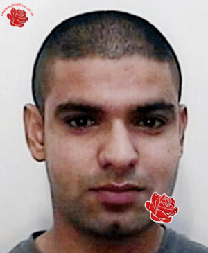 Zackriya/Shabir/Taj – profile image