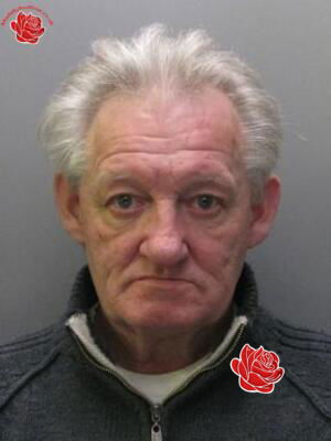 Peter Gibson – profile image