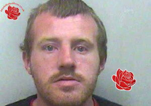 Martin Calvert – profile image