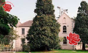 Trudder House – profile image