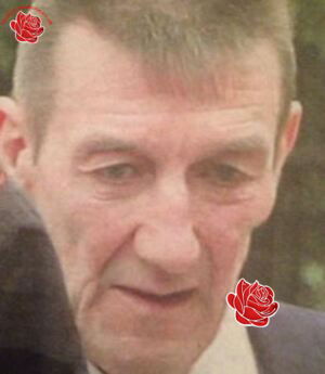 Michael McManus – profile image