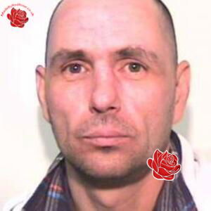 Christopher Newton – profile image