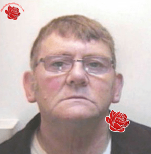 David Bell – profile image