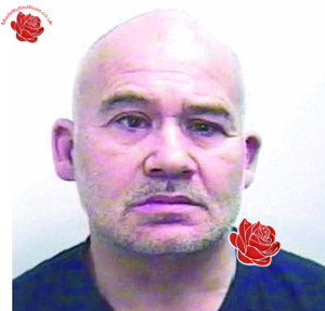 Alan Fisher – profile image