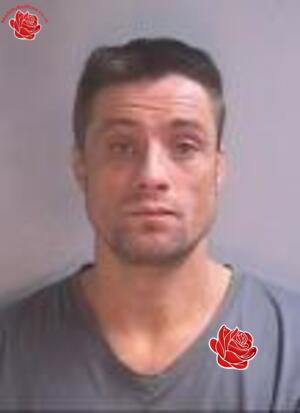 Paedophile ring – profile image