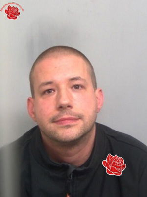 Stuart Broom – profile image