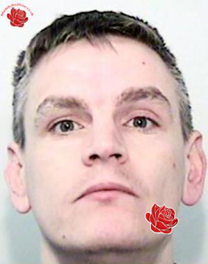 Damien Stephenson – profile image