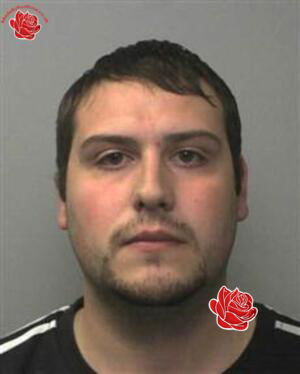 David Harley – profile image