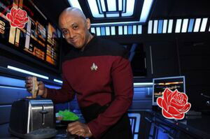 Anthony Alleyne – profile image