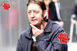 Wayne Stott – profile image