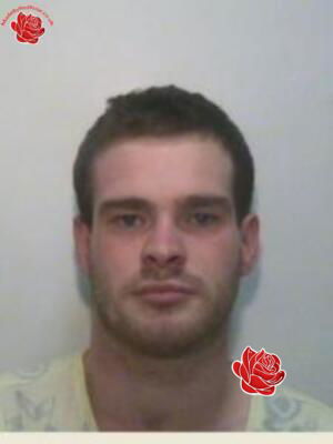 Paul Fenner – profile image