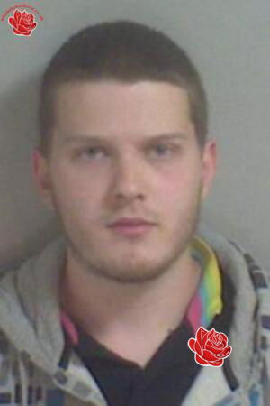 Matthew Woodgate – profile image