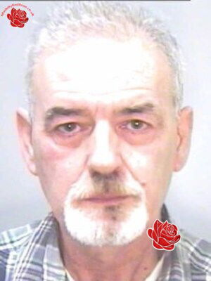 Stephen Williams – profile image