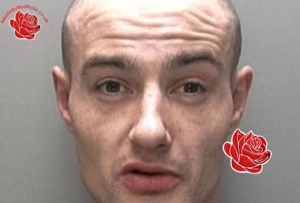 Darren Lewis – profile image