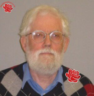 John Morton – profile image