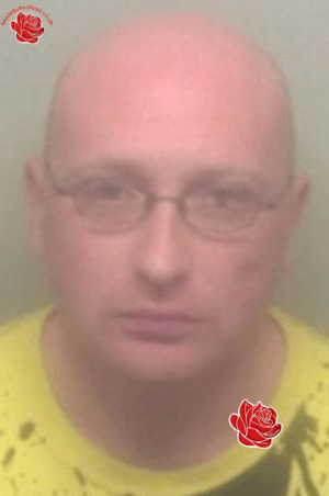 Daniel Delaney – profile image