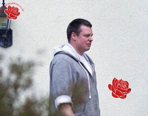 Niall Brady – profile image