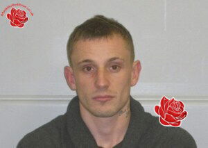 Jamie Carter – profile image