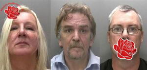William Hanna/Dianne Whitehouse/Ian McGlasson – profile image