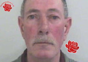 Paul Hoey – profile image