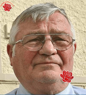 Dennis Brannigan – profile image