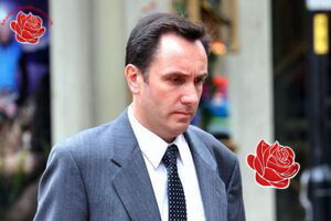 Stephen Hamilton – profile image