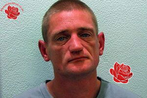 Stuart Hazell – profile image
