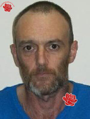 Bruce Balfour – profile image