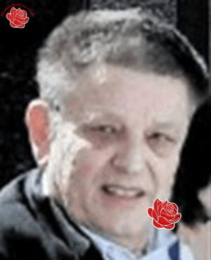 John Gillies – profile image