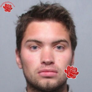 Daniel Veness – profile image