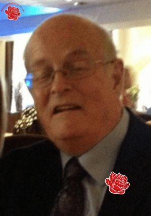 Peter Robertson – profile image