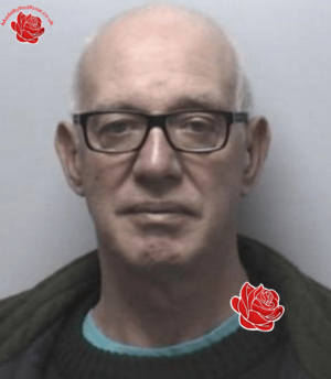 Stephen Warner – profile image