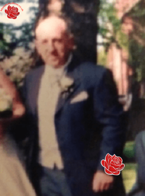 Stephen Watkins – profile image